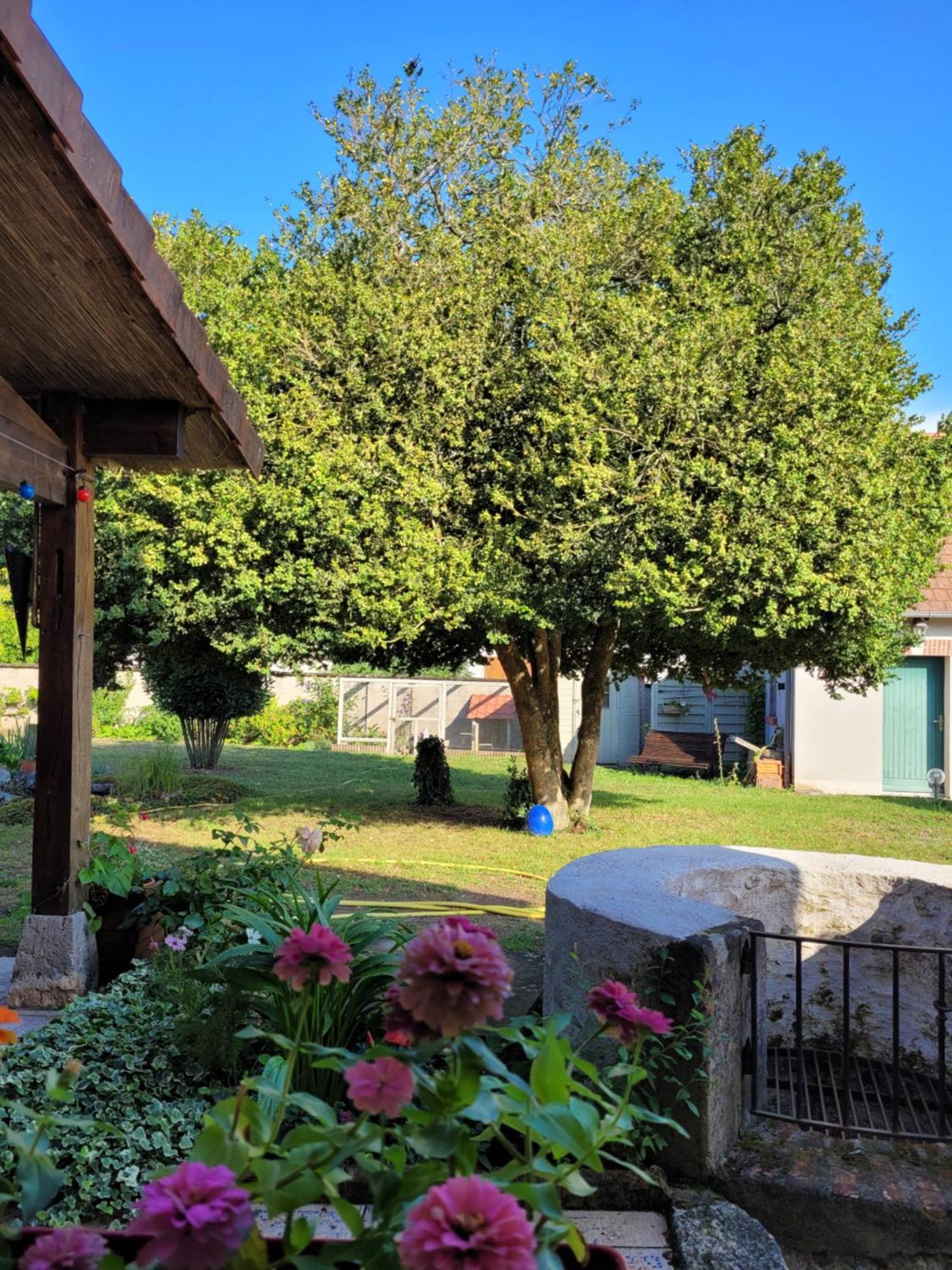 Bed and Breakfast La Petite Parenthese Muides-sur-Loire Exterior foto
